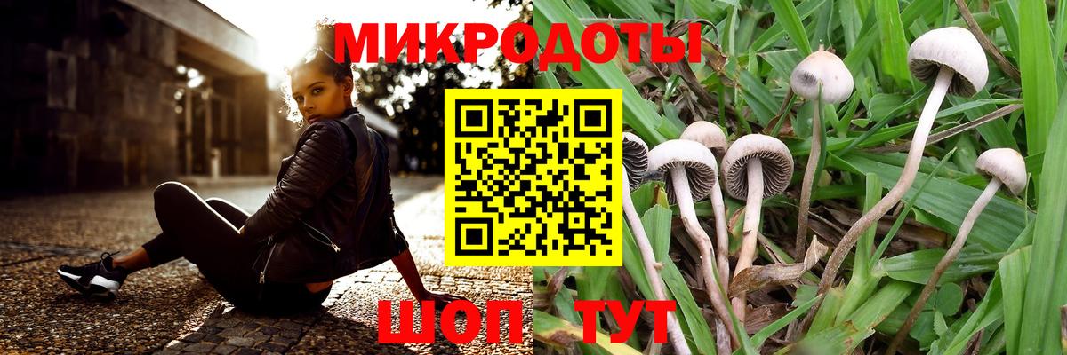 Галлюциногенные грибы мицелий  Вход с VPN  Когалым 