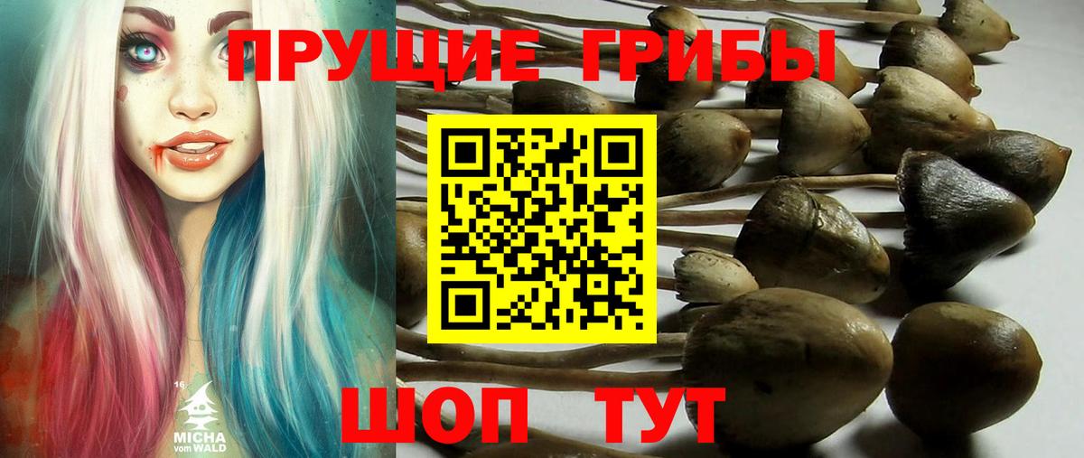 Псилоцибиновые грибы Magic Shrooms Когалым